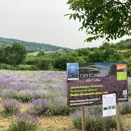 Dolce Sur La Colline De Turin Revigliasco
