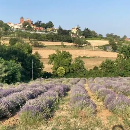 Dolce Sur La Colline De Turin 아파트