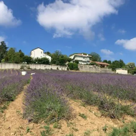 Dolce Sur La Colline De Turin Apartman