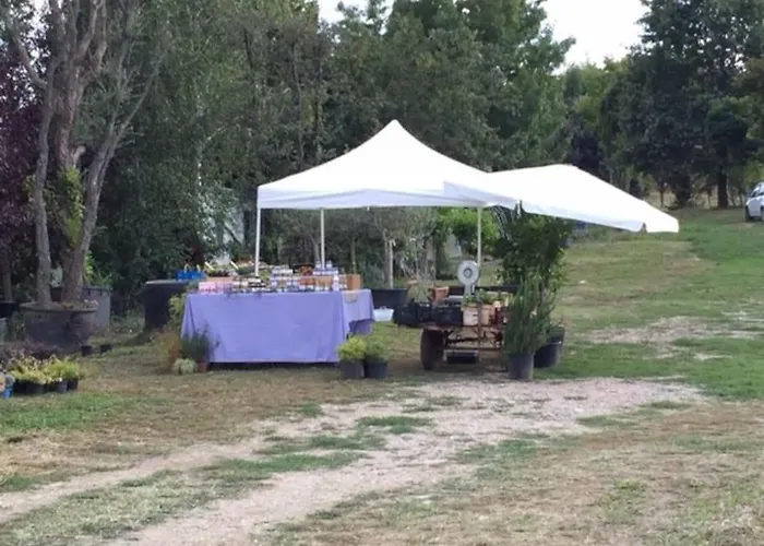 Dolce Sur La Colline De Turin Apartmán Revigliasco