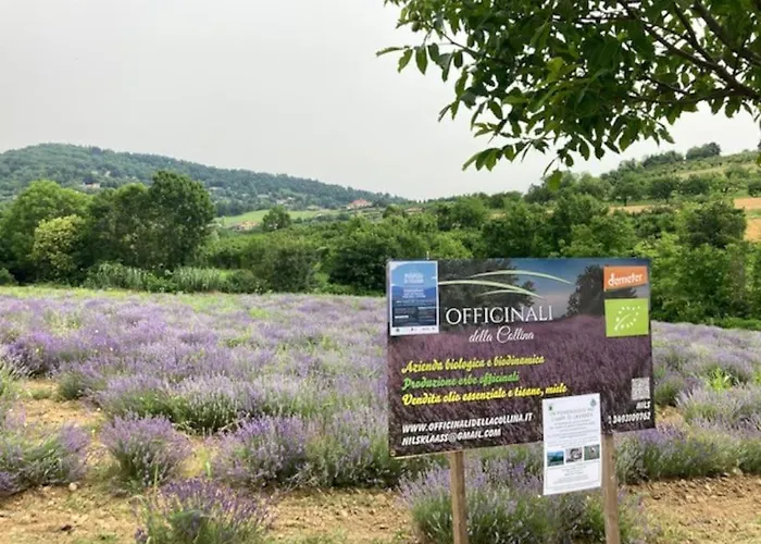 Dolce Sur La Colline De Turin Revigliasco