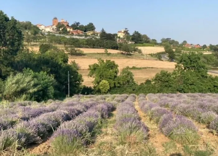 Dolce Sur La Colline De Turin Apartmán