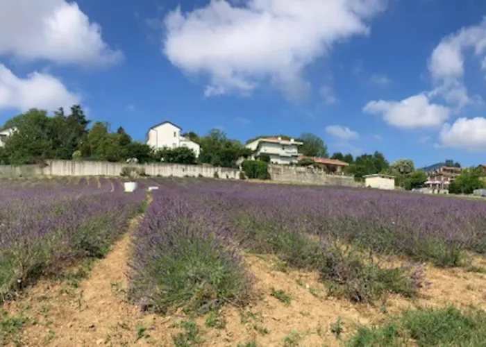 Dolce Sur La Colline De Turin Apartmán